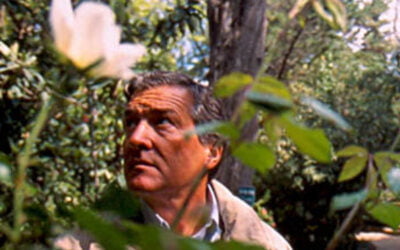 La Tumba del Inglés