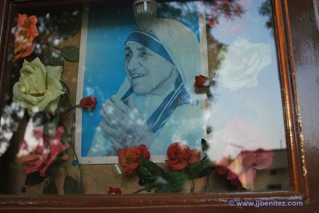 Flores para Teresa de Calcuta