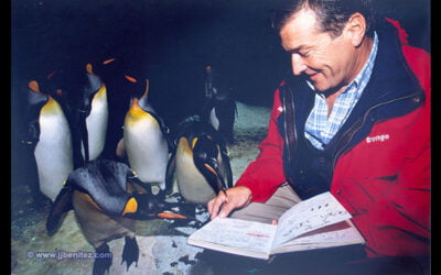 Los pingüinos y pájaros bobos sí me entienden