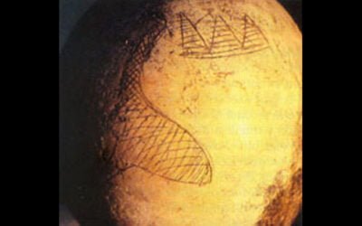 Un huevo comprometedor