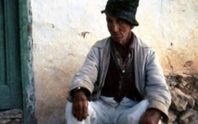 ¡Vuela “guirre”!